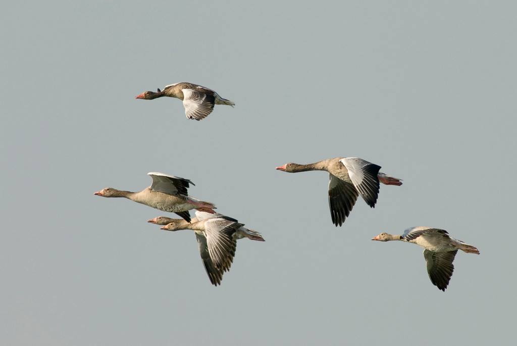 Ősz, október, kitekintő, programok, kultúra, gasztronómia, Magyarország
