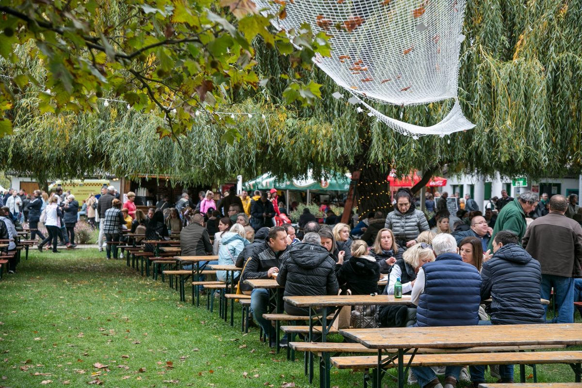 Balaton, ősz, programok