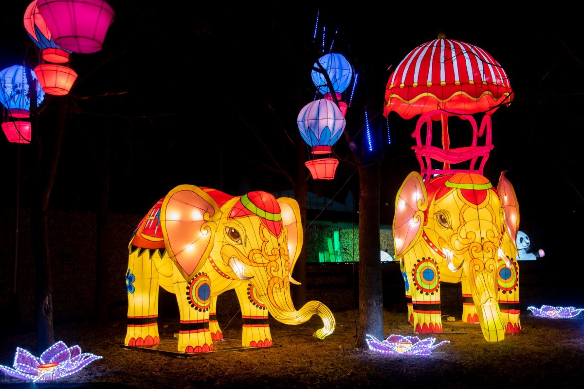 programok, Budapest, fények, ősz