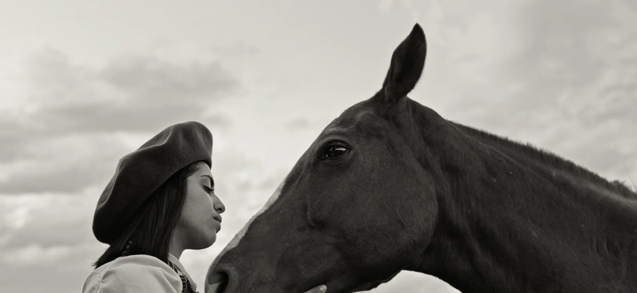 A legjobb filmek 2025-ben: 8 dokumentumfilm, hogy megismerjük a múltat és jelent