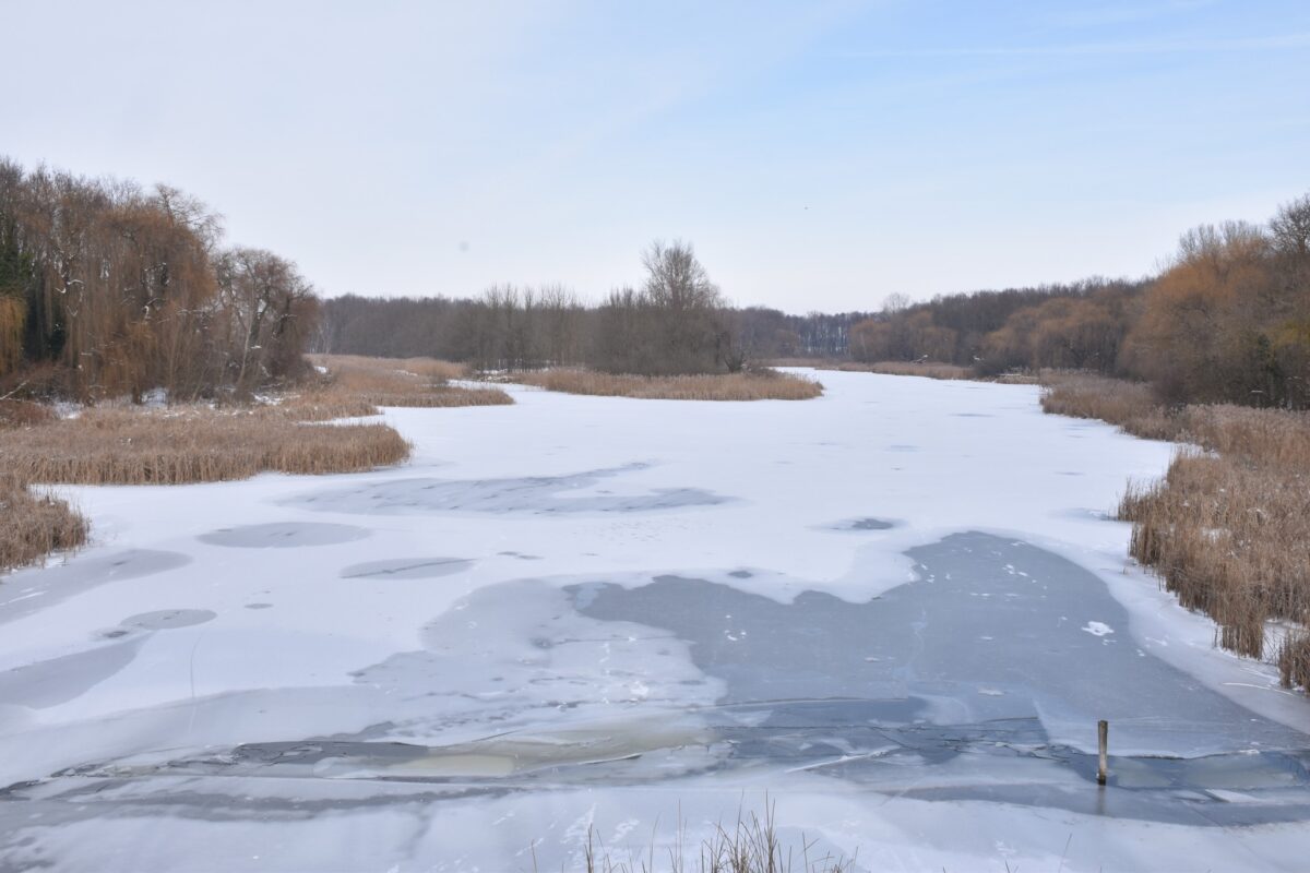 Kis-Balaton, Kányavári-sziget, kirándulás, tél