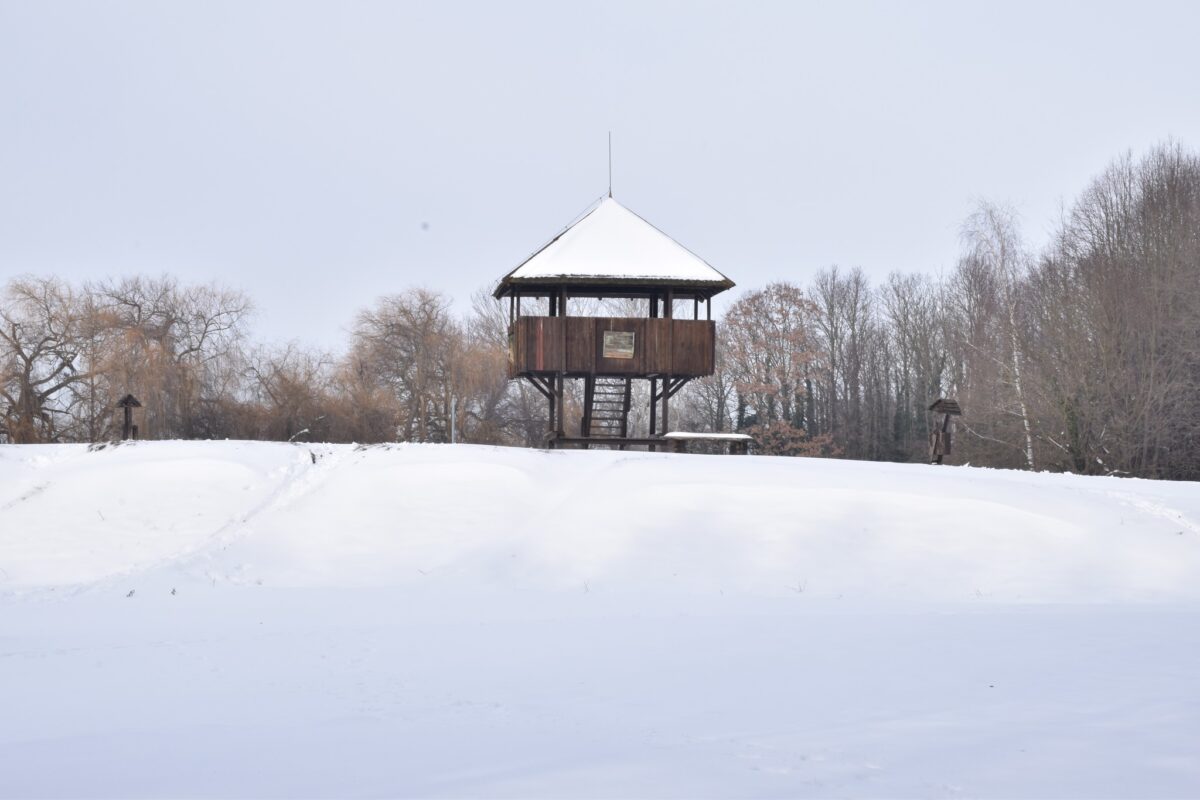 Kis-Balaton, Kányavári-sziget, kirándulás, tél