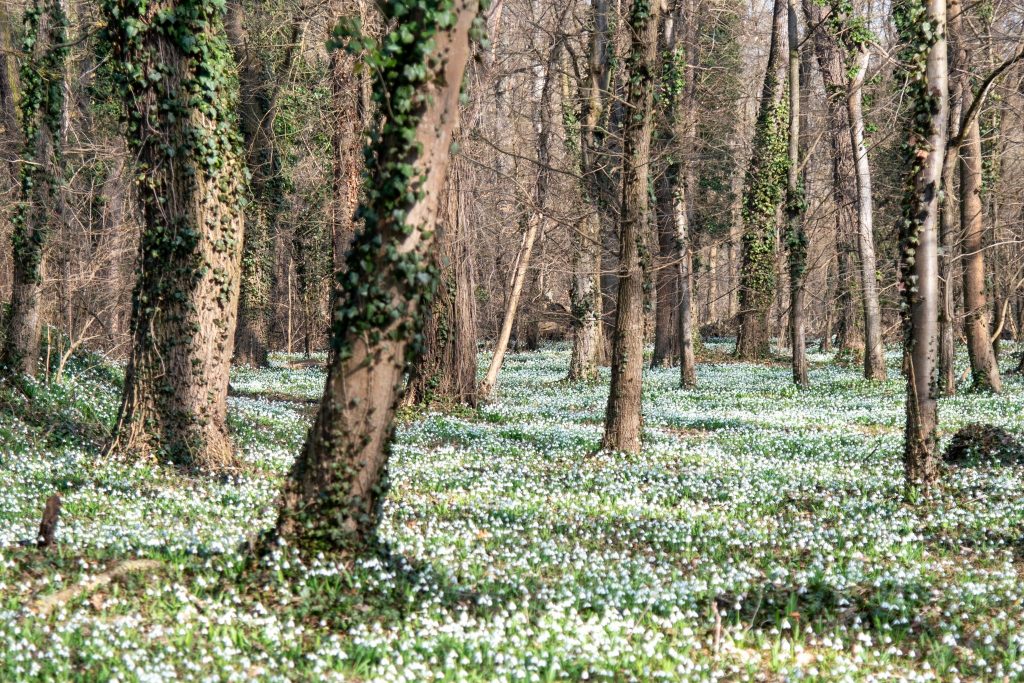 bakancslistás programok, február, kikapcsolódási lehetőségek, programok országszerte