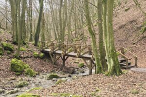 Dera-szurdok, Pilis, Pilisszentkereszt, kirándulás, erdő, természet