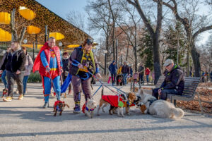 február, ingyenes programok, Budapest