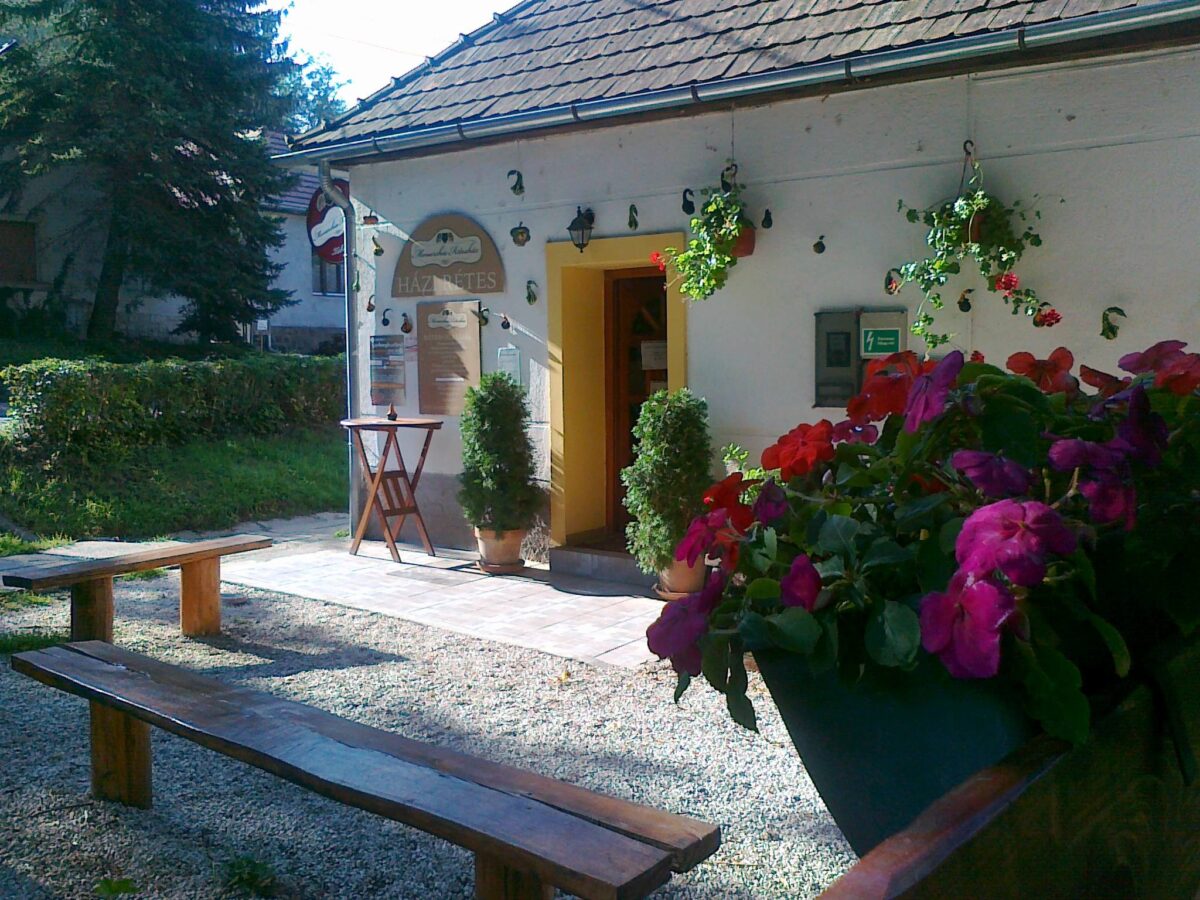 Zebegény, kirándulás, városnézés, belföld, Magyarország