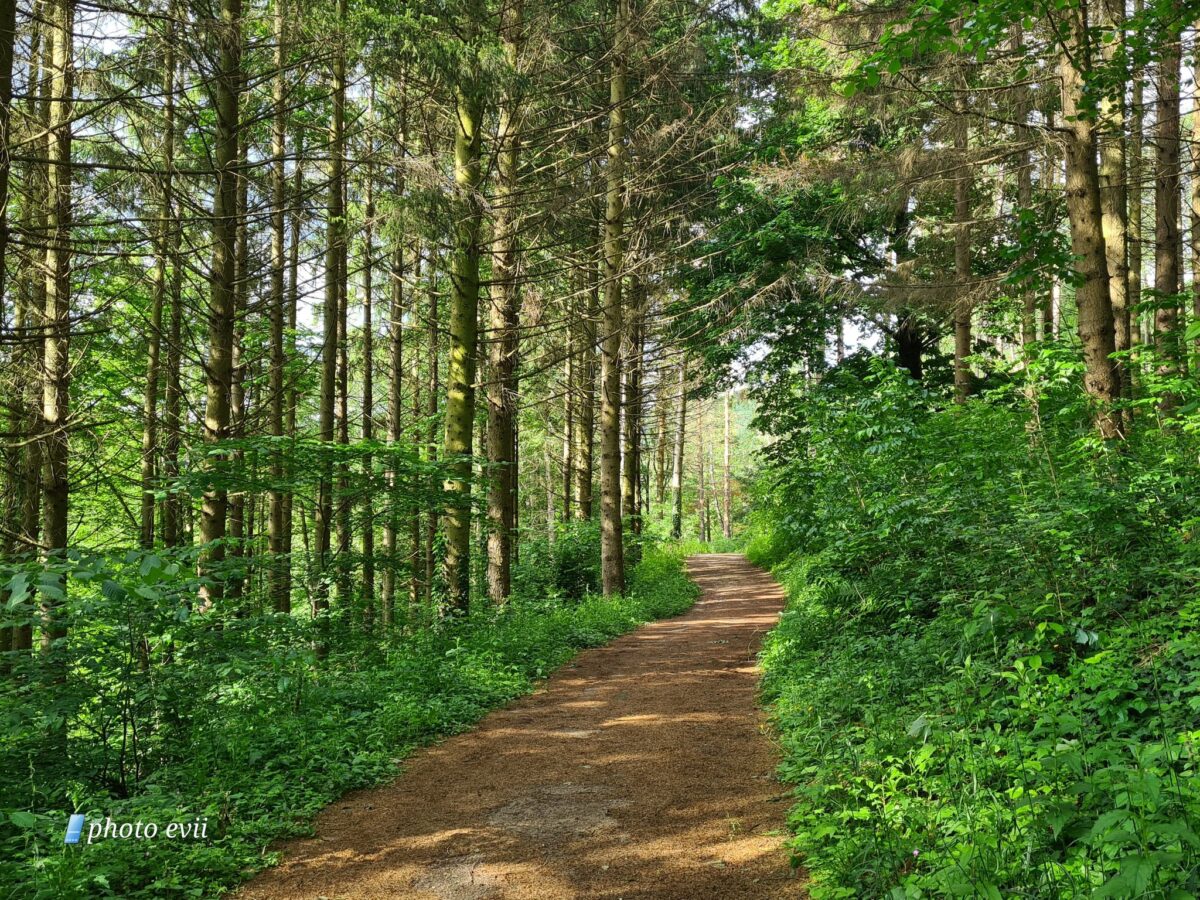 Bertényi Miklós Füvészkert