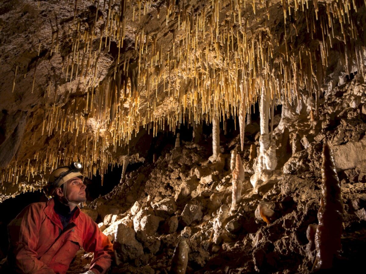 Csodabogyós-barlang Barlangok Hónapja 2026