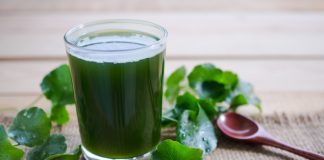 Centella Asiatica, a millennial plant that has become essential in cosmetics